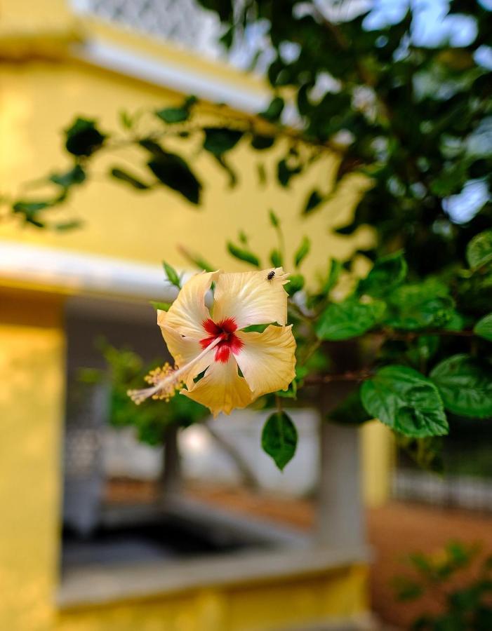 Parul - Elegant Heritage Home At The Heart Of Shantiniketan Buitenkant foto