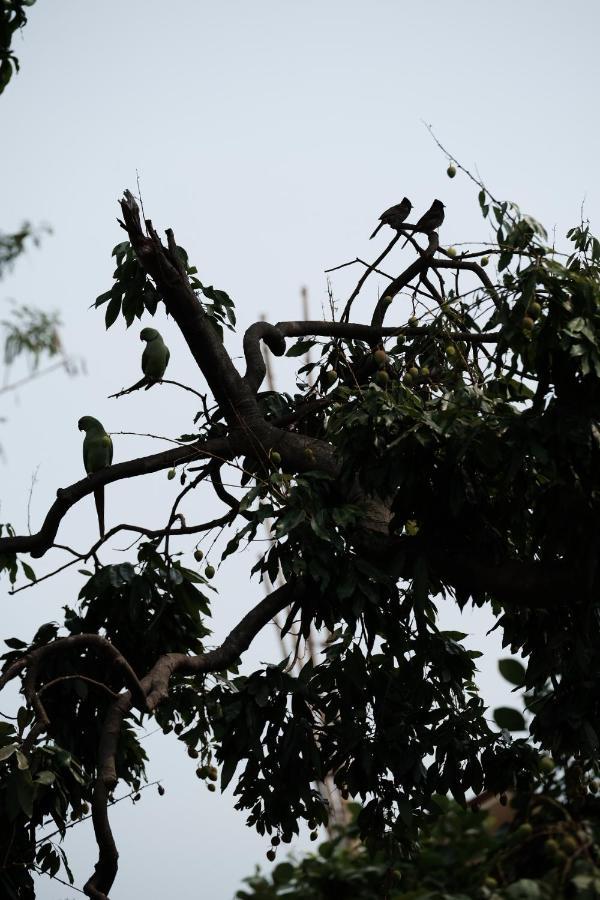 Parul - Elegant Heritage Home At The Heart Of Shantiniketan Buitenkant foto